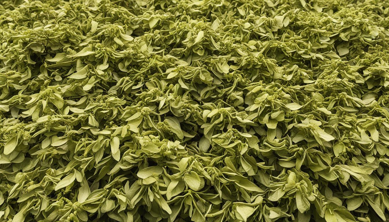 linden flower tea side effects